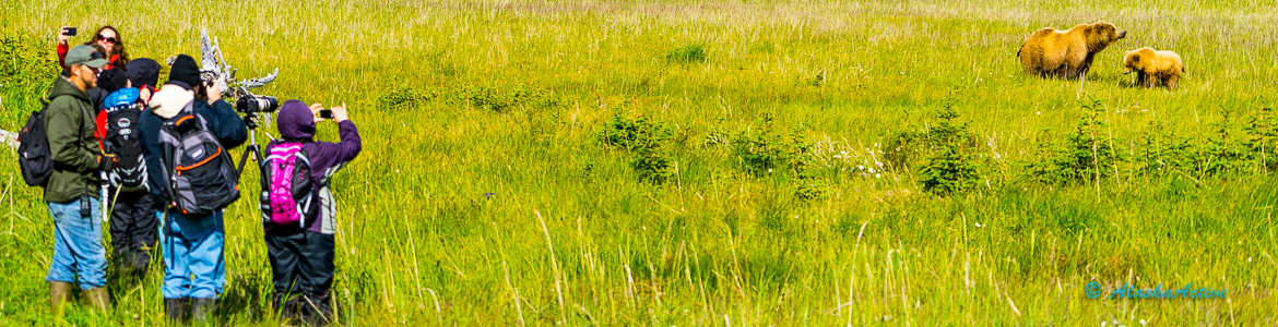 Slide #2 Slide background