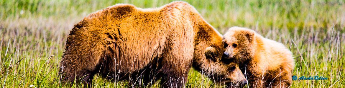 Slide #1 Slide background